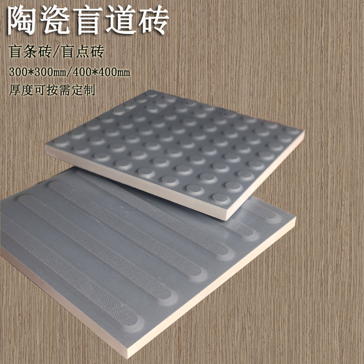 中灰色盲道磚鋪裝效果 J